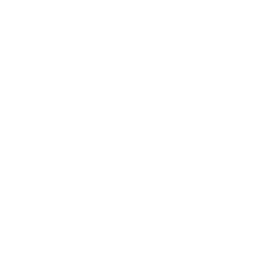 Pielmedia Logo